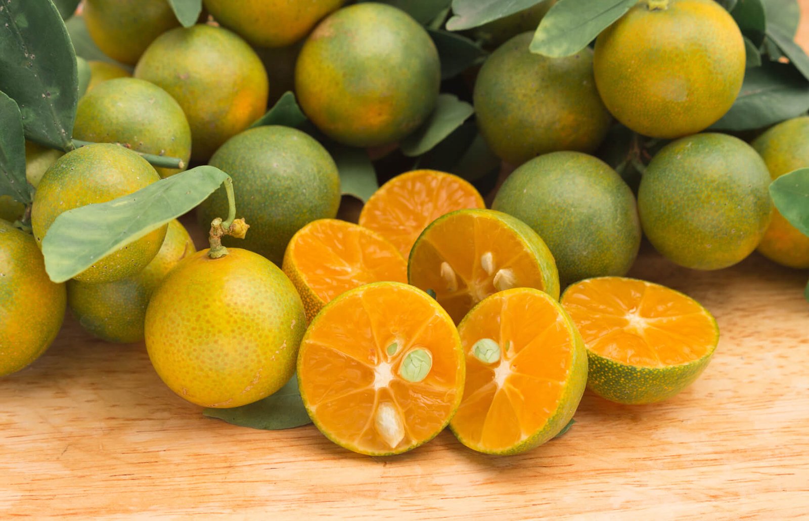 Calamondin