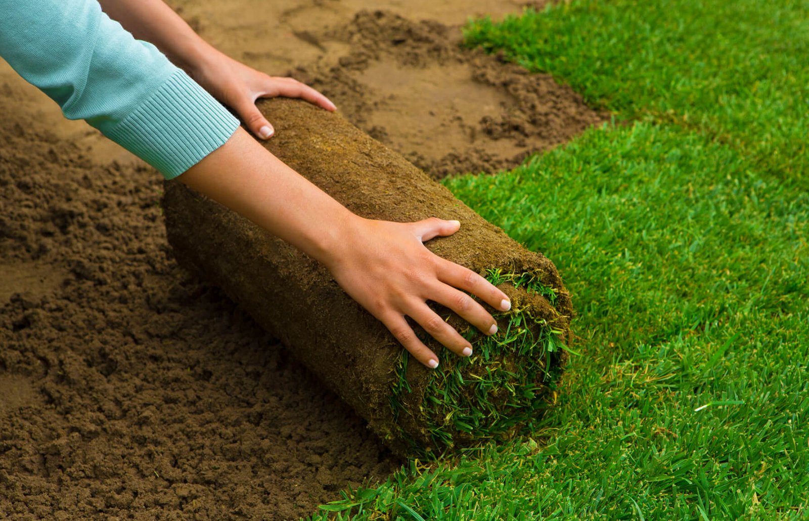 Marathon Sod Installation