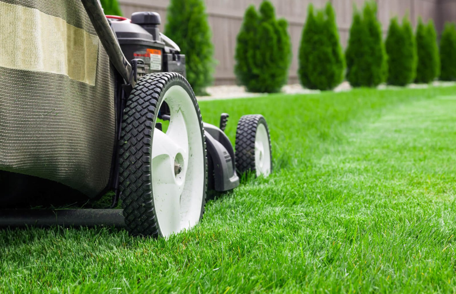 Marathon Sod Lawn Care