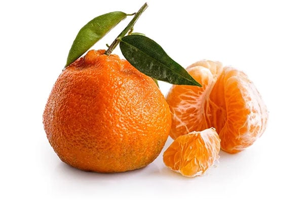 satsuma-mandarin-1