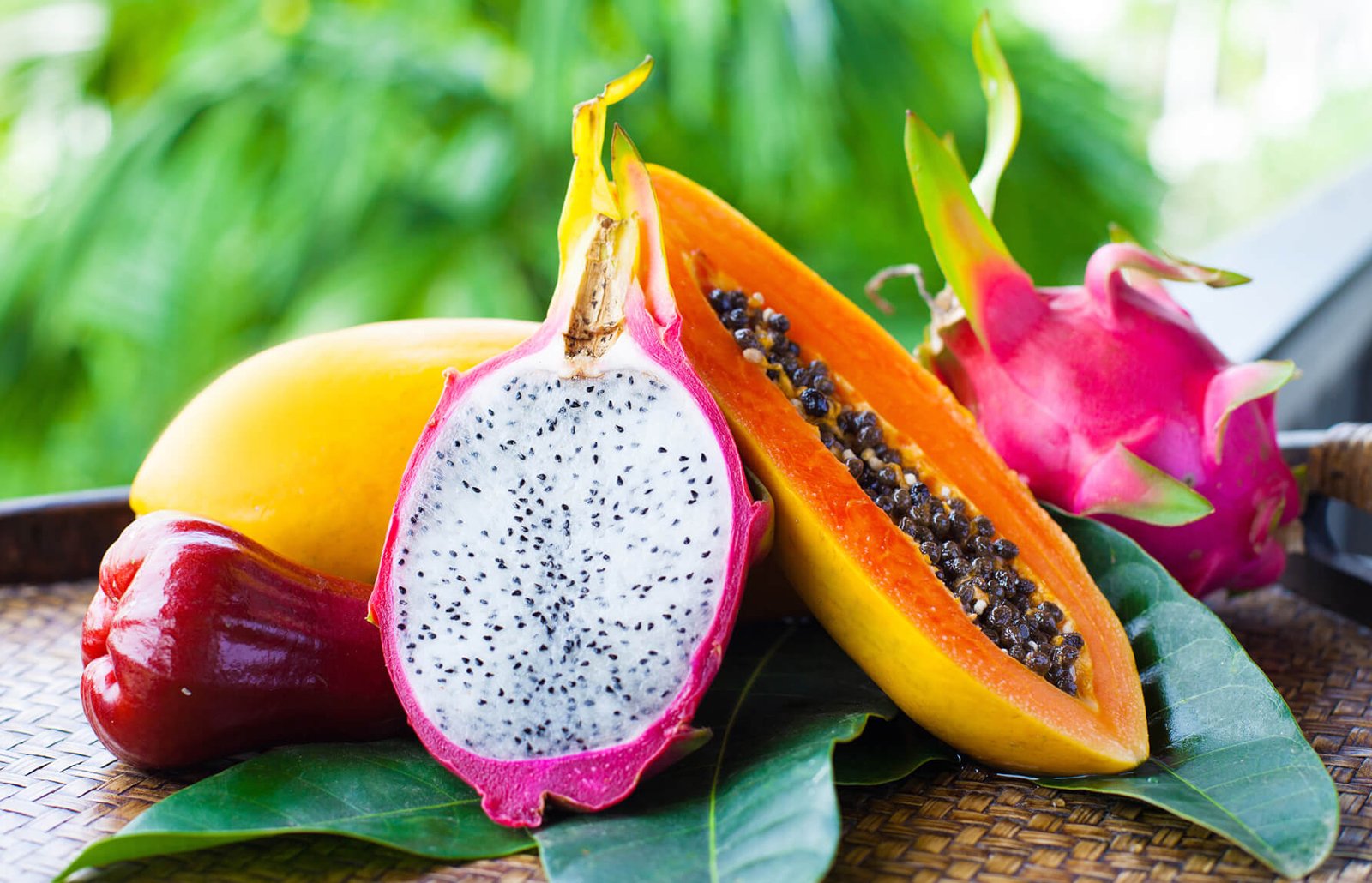 Tropical Fruit Trees