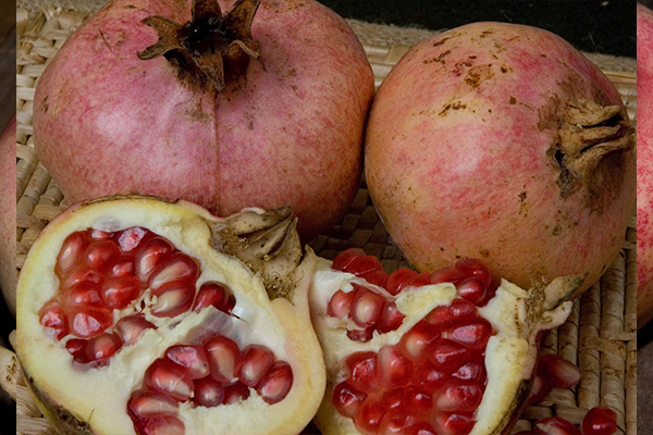 Ambrosia Pomegranate