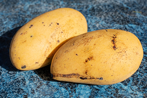 Philippine Mango
