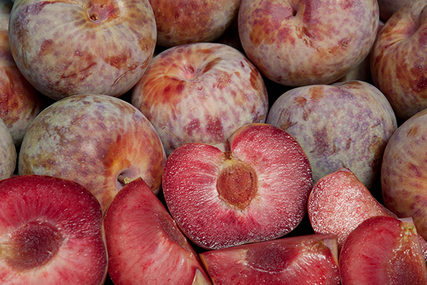 Dapple Dandy Pluot