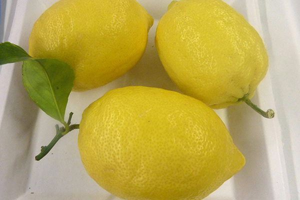 Eureka Lemon