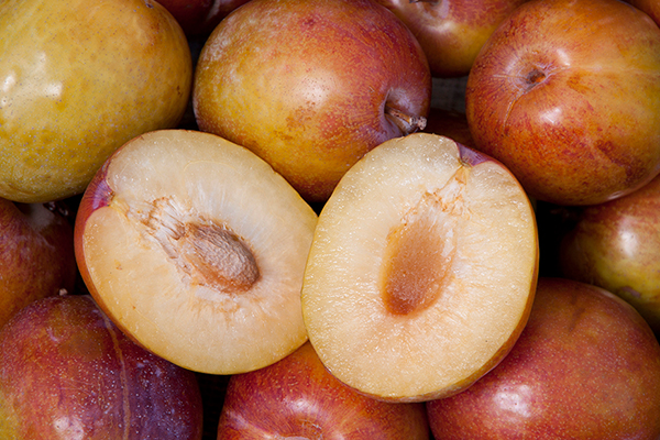 Flavor Grenade Pluot