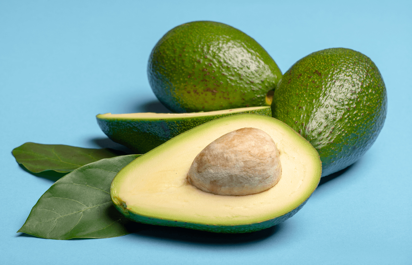 Fuerte Avocado