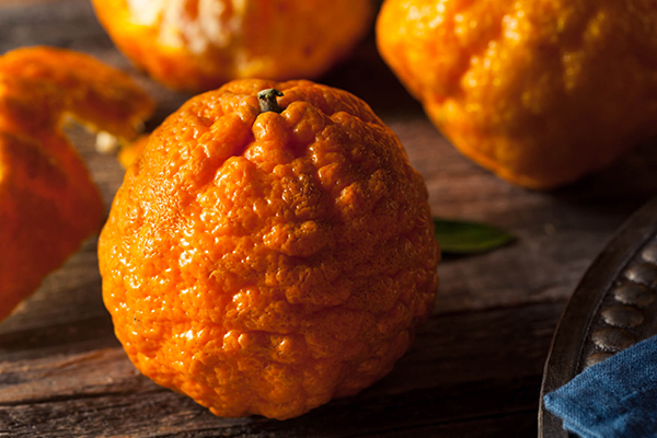 Gold Nugget Mandarin