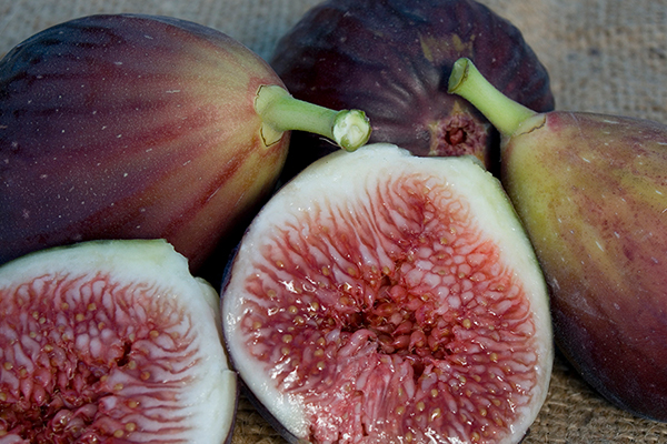 Improved Brown Turkey Fig