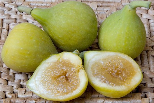 Janice Seedless Kadota