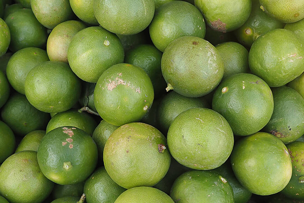 Mexican Lime