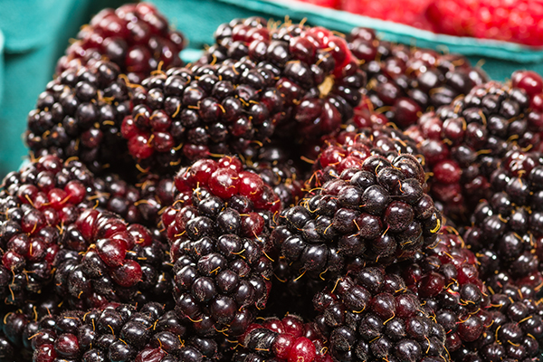 Marionberry Blackberry