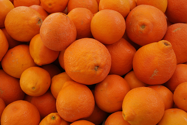 Minneola Tangelo
