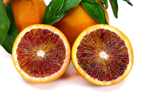 Moro Blood Orange