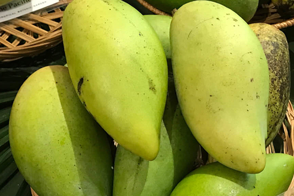 Nam Doc Mai Mango