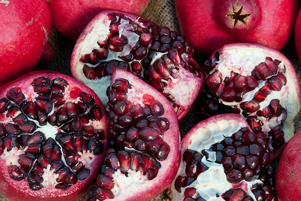 Parfianka Pomegranate