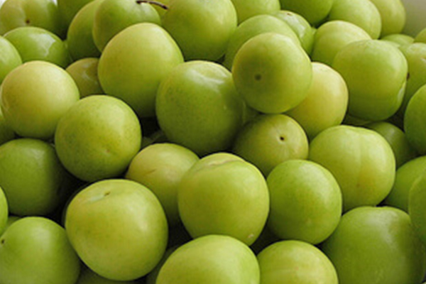 Persian Green Plum