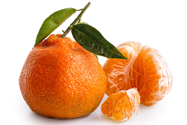 Satsuma Mandarin