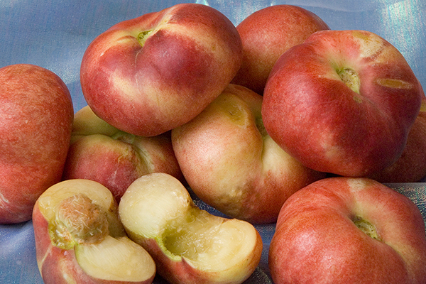 Sauzee King Nectarine