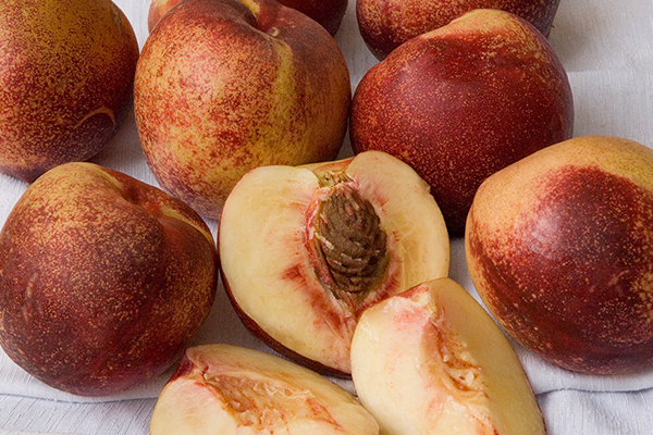 Snow Queen Nectarine