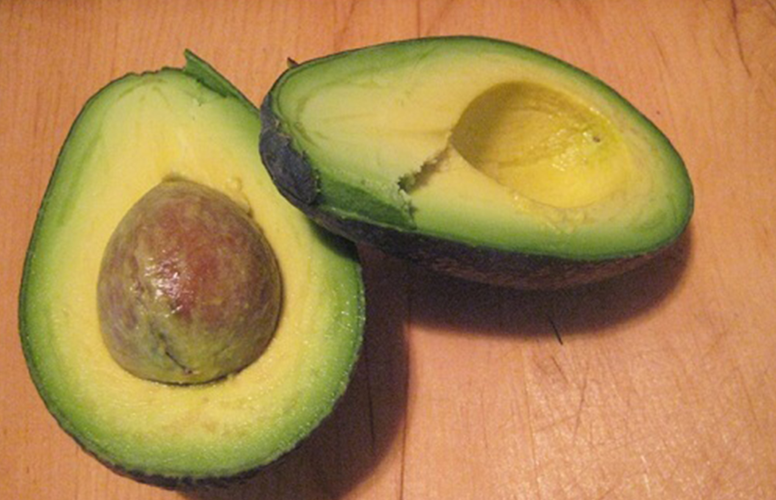 Zutano Avocado