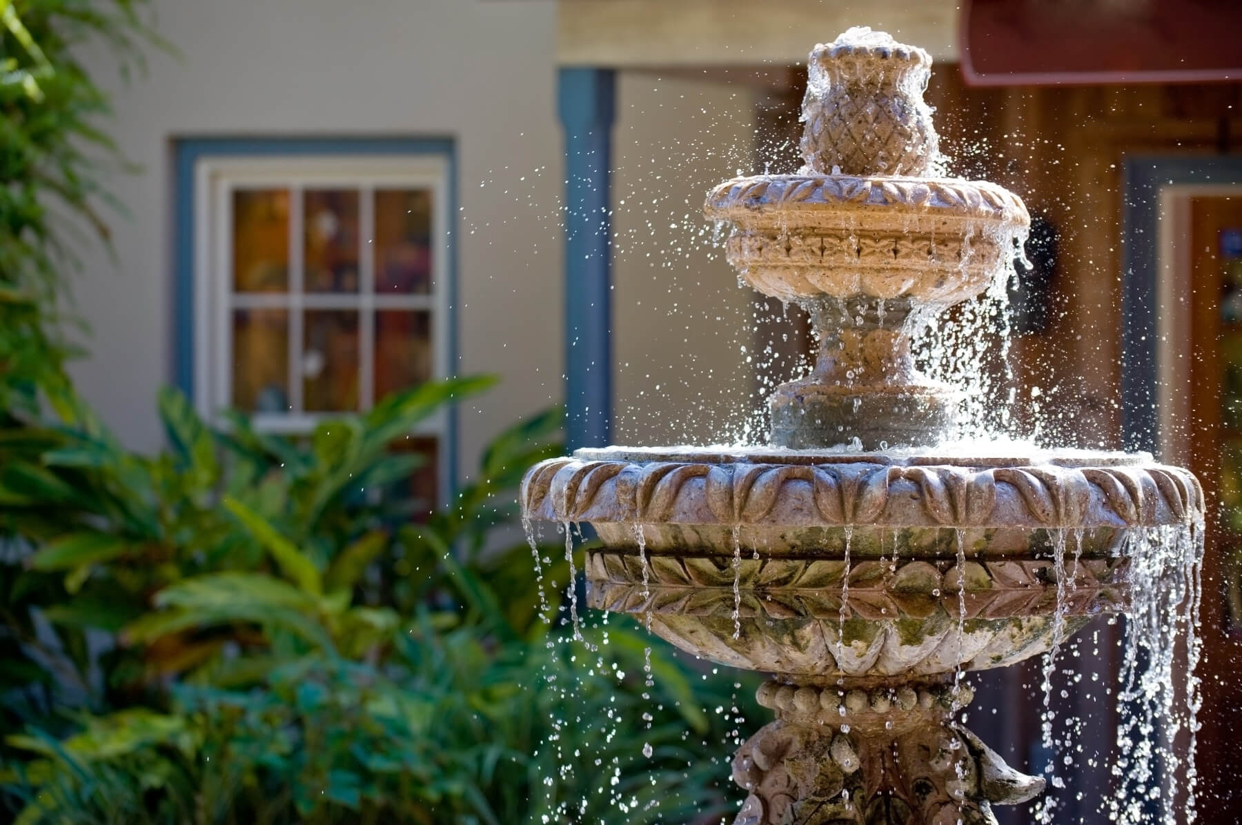 water-fountain-stock-image - Louie's Nursery