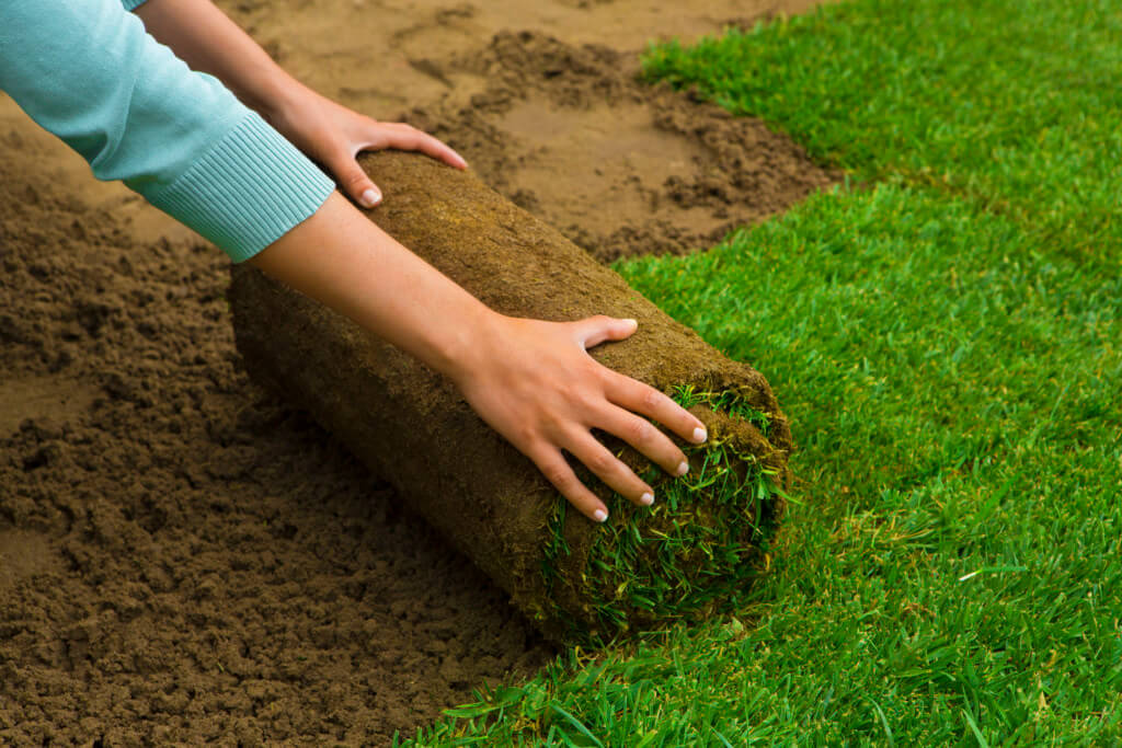 Sod Installation St. Louis