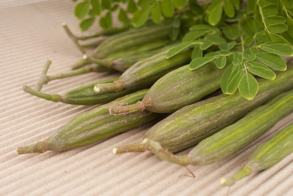 Moringa Louie�s Nursery &amp; Garden Center Riverside CA