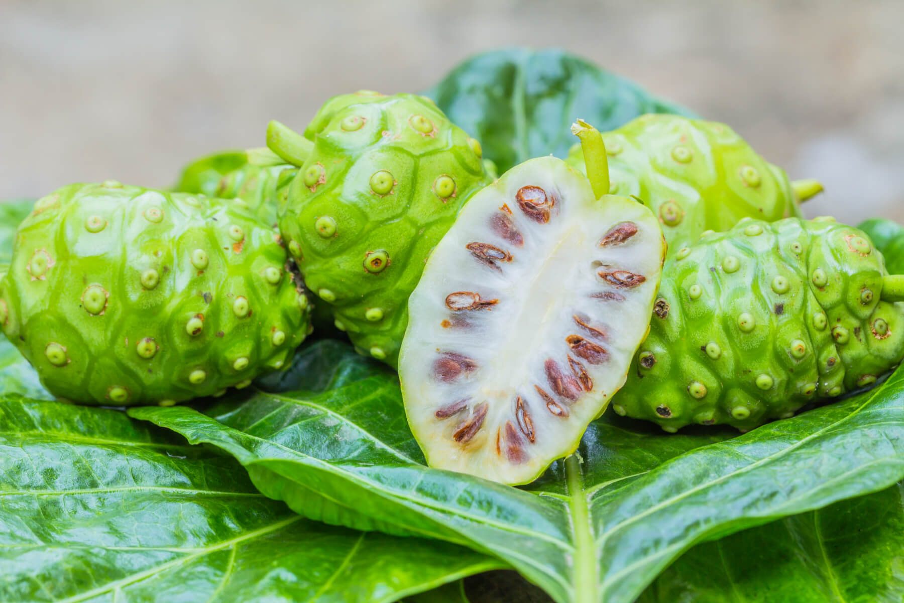 Noni - Louie's Nursery