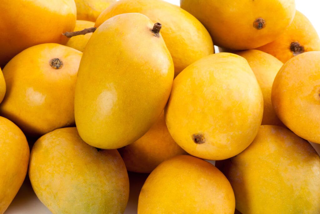 Alphonso Mango Trees - Louie's Nursery Riverside CA